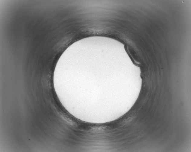 X0000063500450200602172123