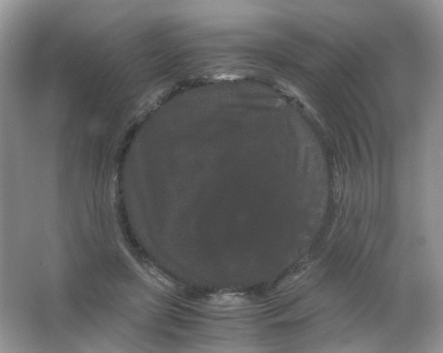 X0000063500451200602172123