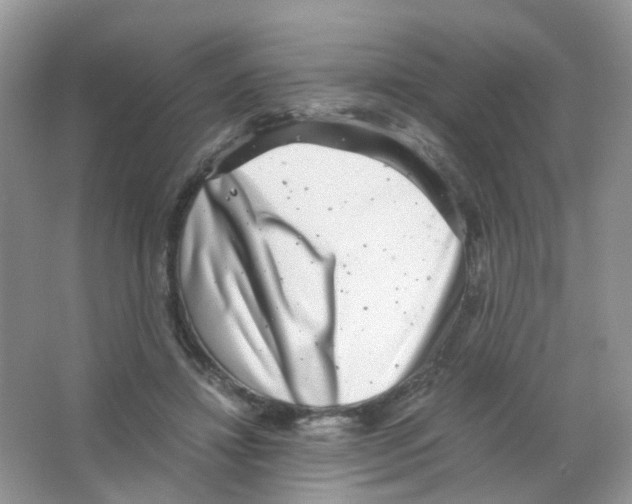 X0000063500452200602172123