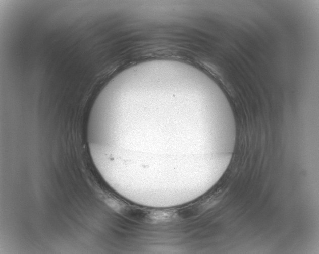 X0000063500453200602172123