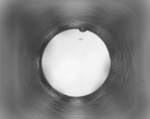 X0000063500454200602172123