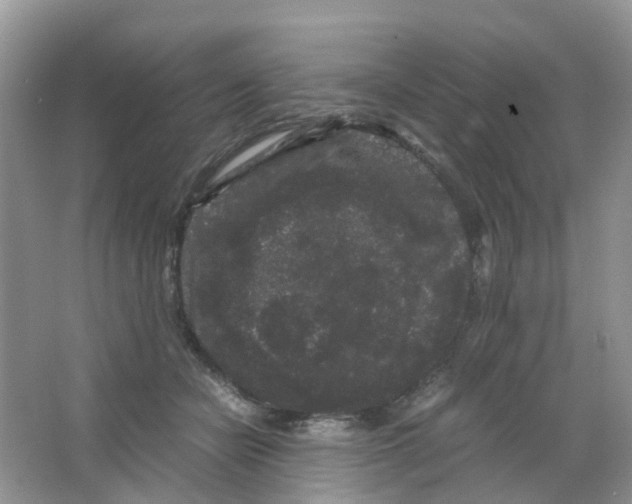 X0000063500462200602172123