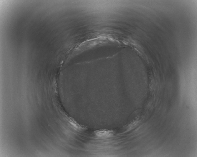 X0000063500465200602172123