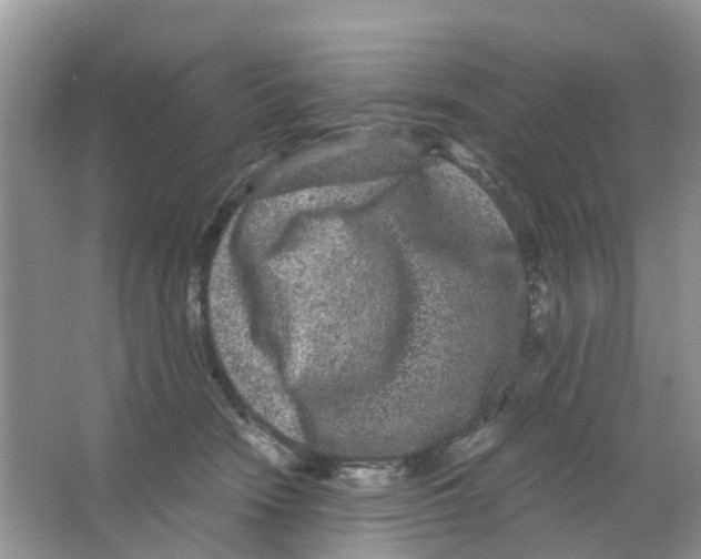 X0000063500466200602172124