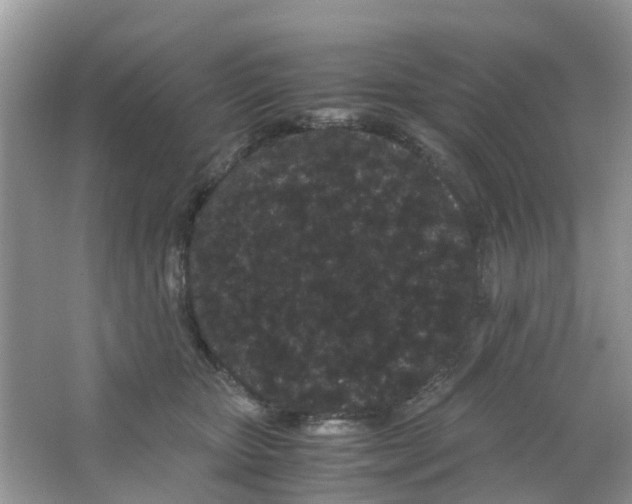 X0000063500467200602172124