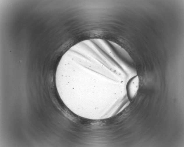 X0000063500468200602172124