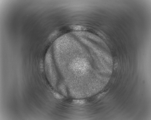 X0000063500469200602172124