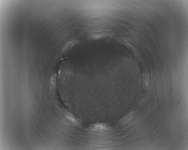 X0000063500475200602172124