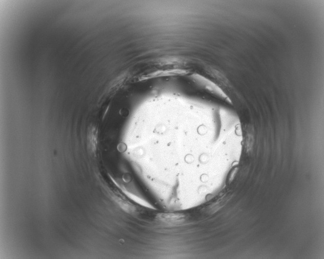 X0000063500476200602172124