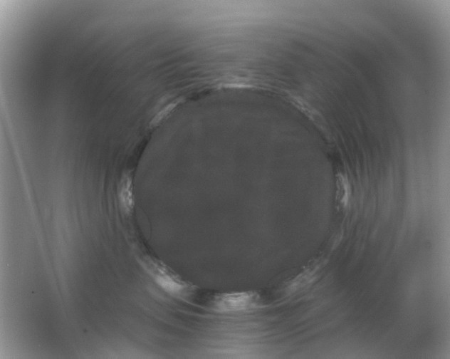 X0000063500479200602172124