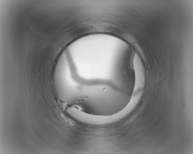 X0000063500481200602172123