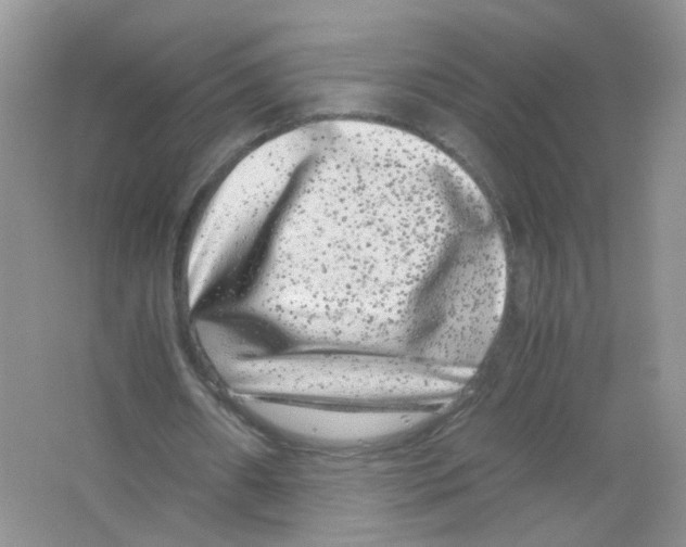 X0000063500482200602172123