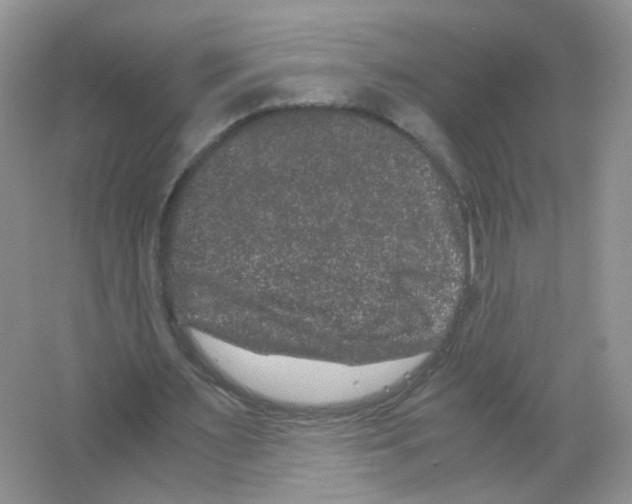 X0000063500483200602172123