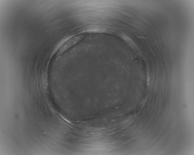 X0000063500484200602172123