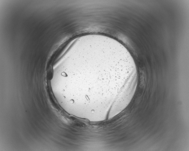 X0000063500486200602172123