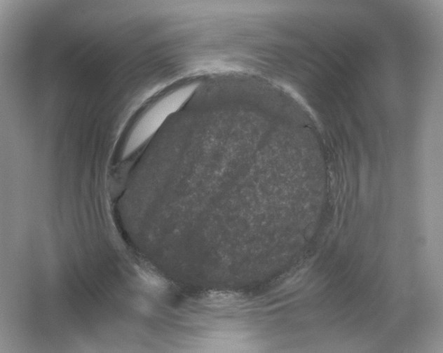 X0000063500487200602172123