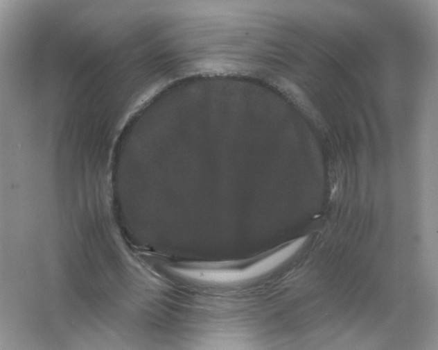 X0000063500488200602172123