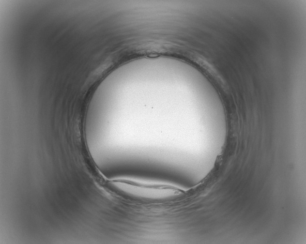 X0000063500489200602172123