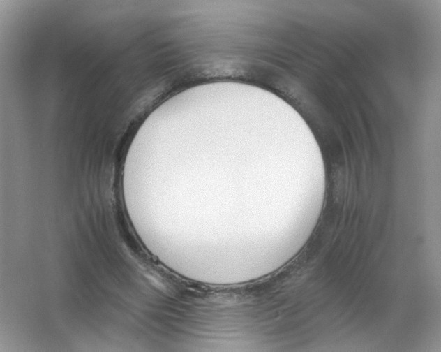 X0000063500490200602172123