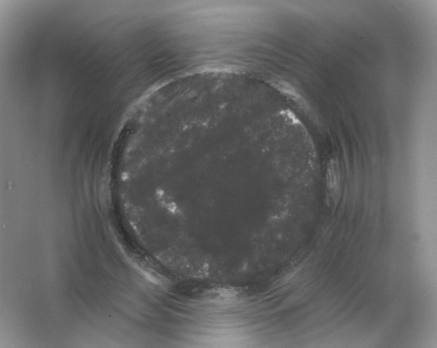 X0000063500492200602172123