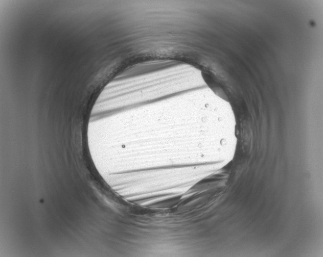 X0000063500493200602172123