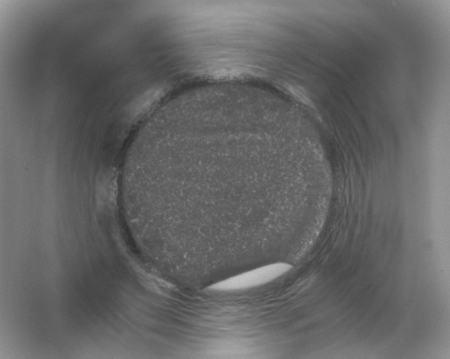 X0000063500495200602172123