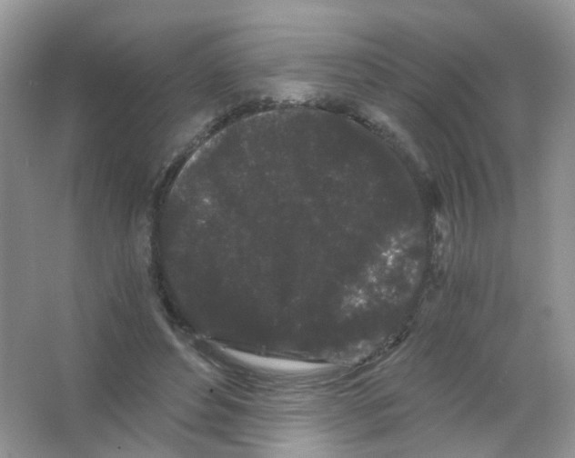 X0000063500496200602172123