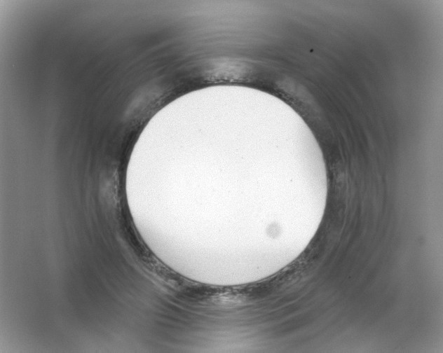 X0000063500498200602172123