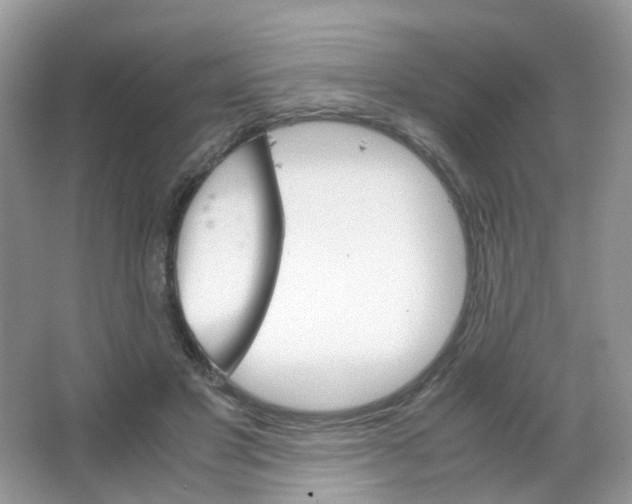 X0000063500501200602172123