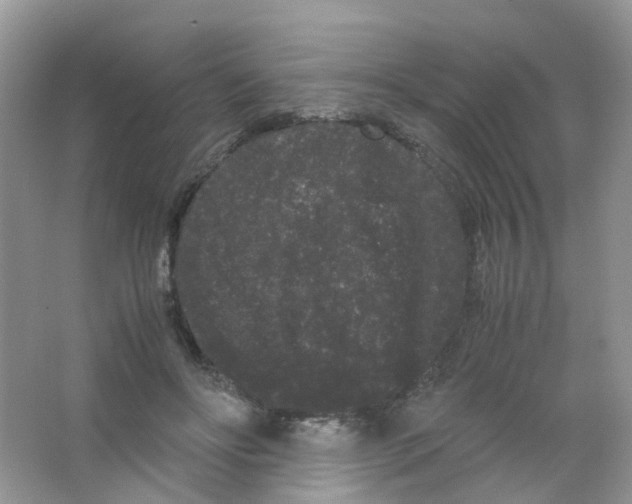 X0000063500502200602172123