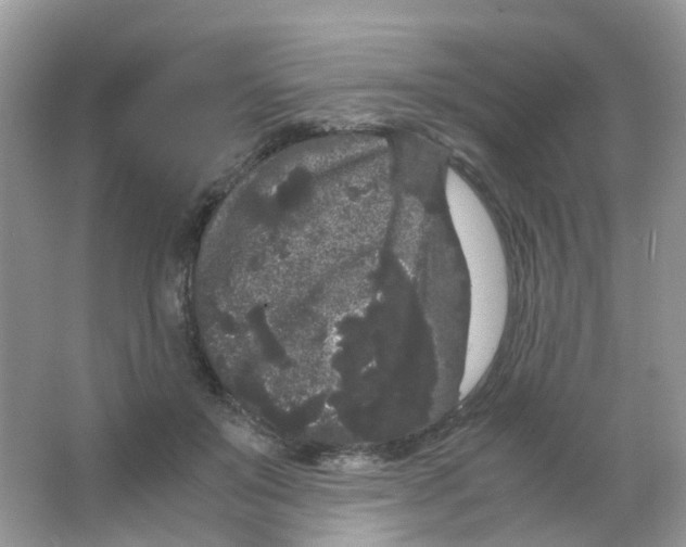 X0000063500503200602172123