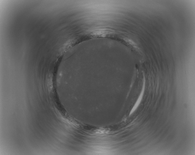 X0000063500504200602172123