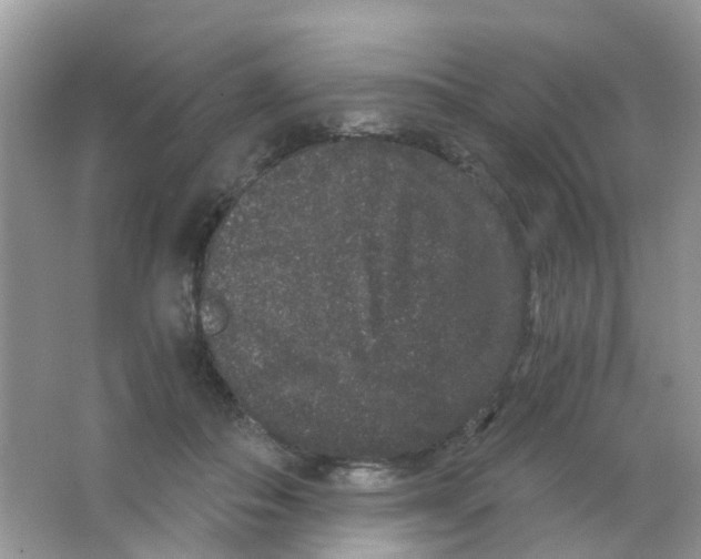 X0000063500506200602172122