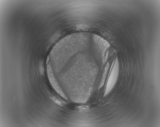 X0000063500508200602172122