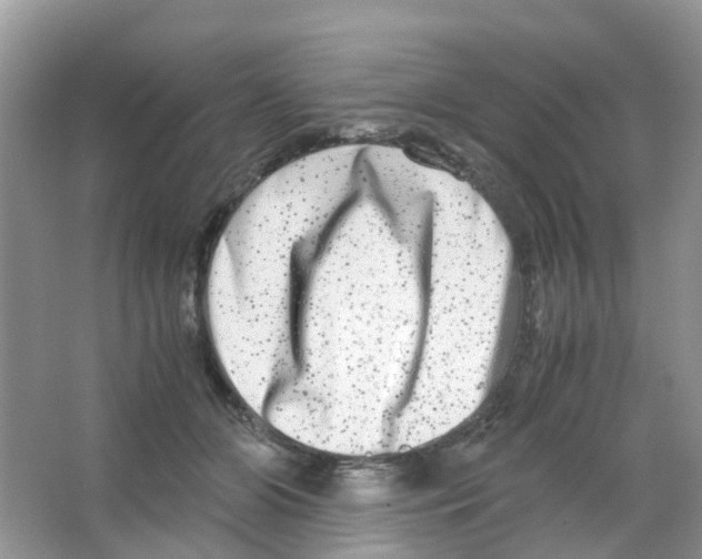 X0000063500510200602172122