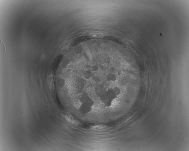 X0000063500511200602172122