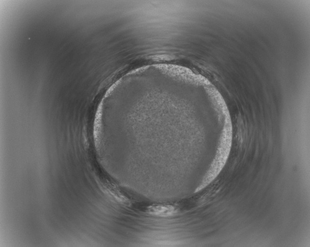 X0000063500512200602172122