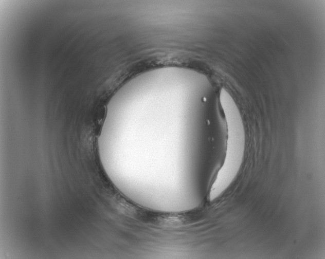 X0000063500513200602172122