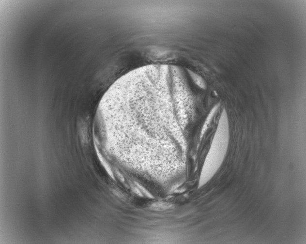 X0000063500515200602172122