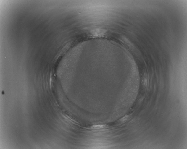 X0000063500516200602172122