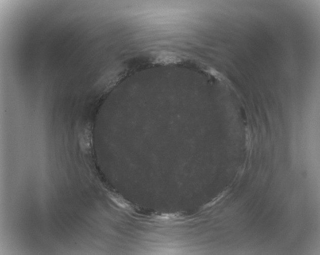 X0000063500517200602172122