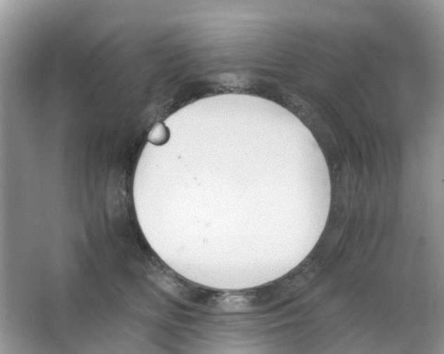 X0000063500518200602172122