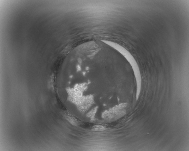 X0000063500519200602172122