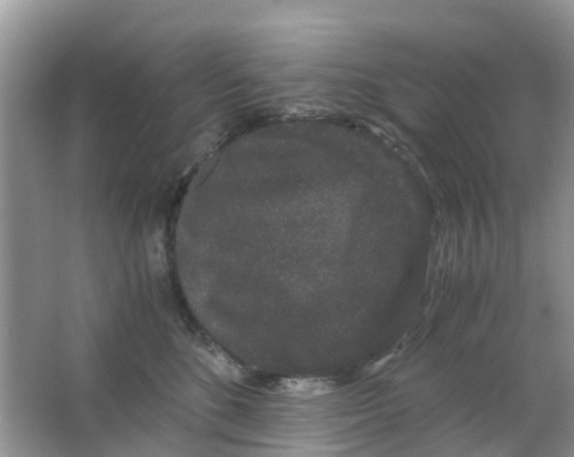 X0000063500520200602172122