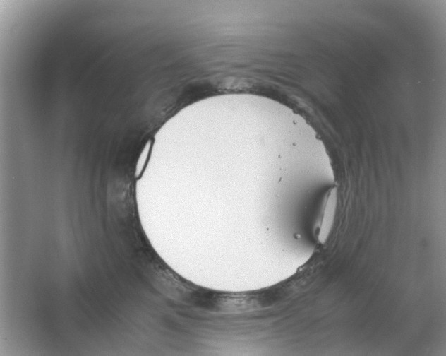 X0000063500521200602172122