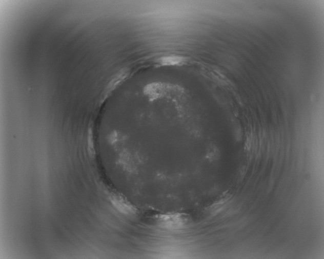 X0000063500524200602172122