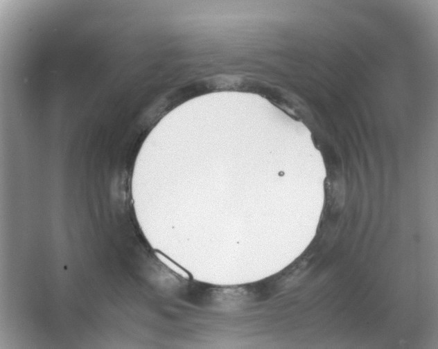 X0000063500525200602172122