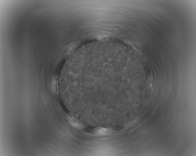 X0000063500527200602172122