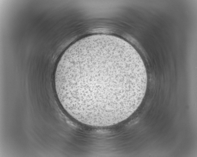 X0000063500529200602172121