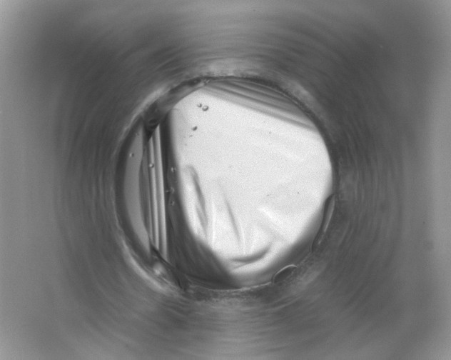 X0000063500530200602172121